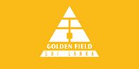  Golden Field